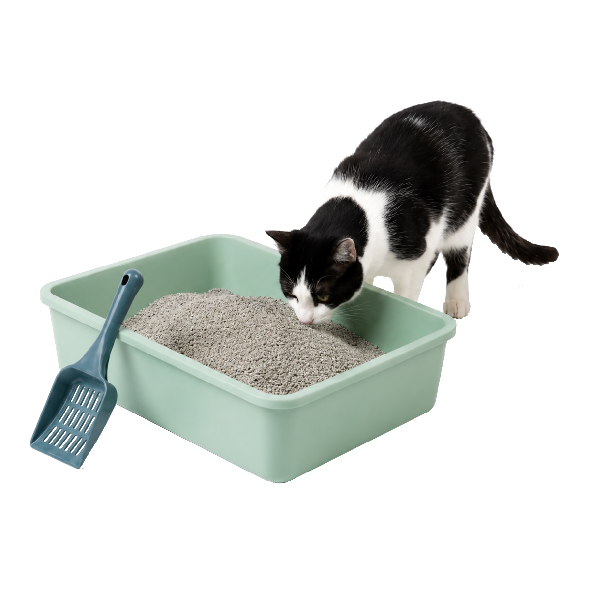 Bandeja Sanitaria para Gatos con Bordes Altos
