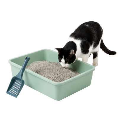 Bandeja Sanitaria para Gatos con Bordes Altos