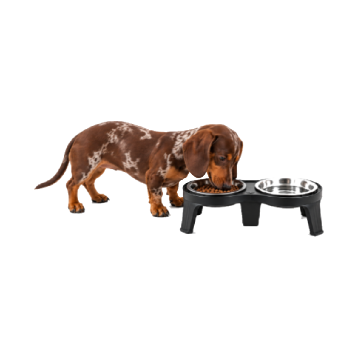 Comedero Doble Acero Inoxidable Antideslizante para Mascotas